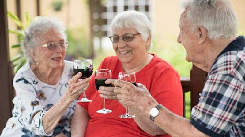 Group senior women seated outside toasting wine glasses